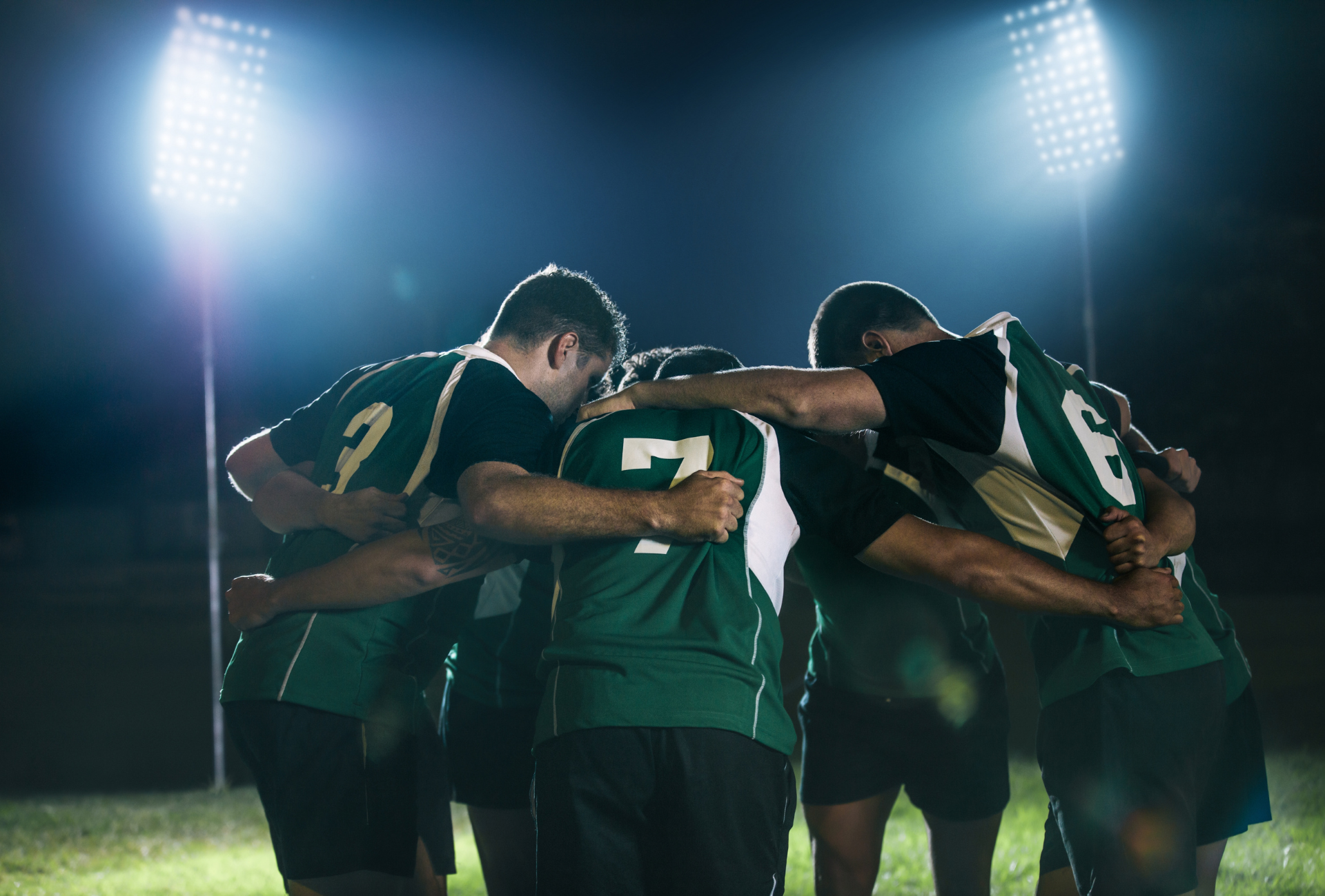 Rygby en Vivo | Divertis en Vivo Rygby en Vivo | Divertis en Vivo